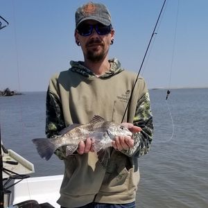 Meet your Posher, Shane